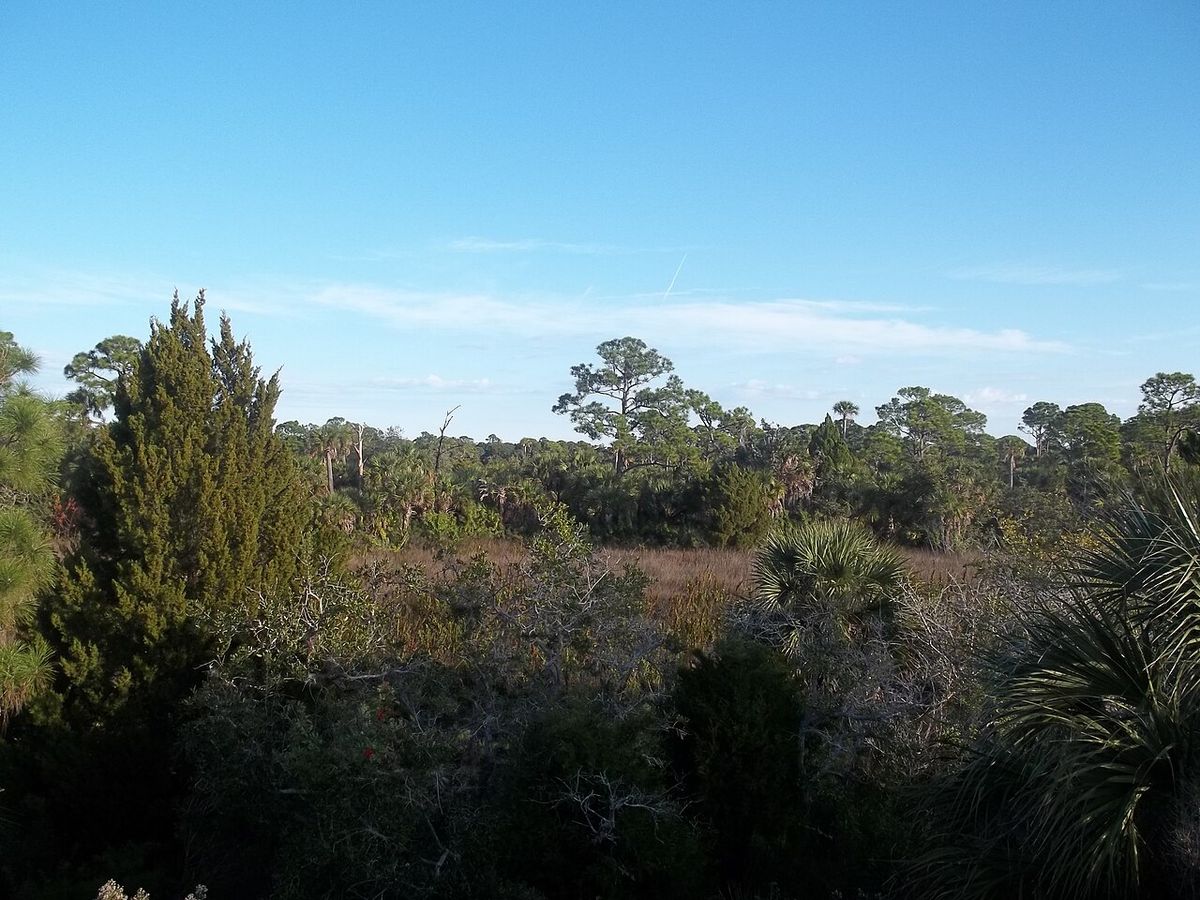 Kayak launch area and marsh edge at Werner Boyce Salt Springs