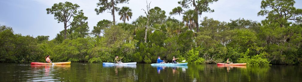 kayaks werner boyce salt springs state park paddling adventures pasco county Florida State Parks 